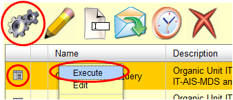 Executing a Report