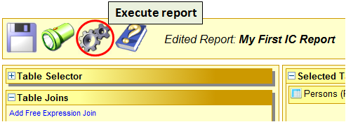 Executing an IC report